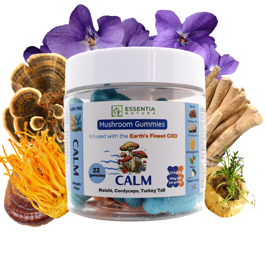 CALM | Reishi, Cordyceps & Turkey Tail | 1500mg CBD – CBD Healing
