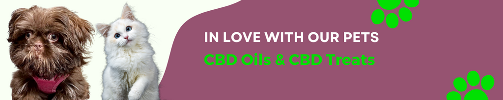 CBD Healing store in colchester is the best online shop for CBD Oil and CBD products